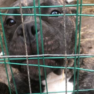 Meet your Posher, Rafael